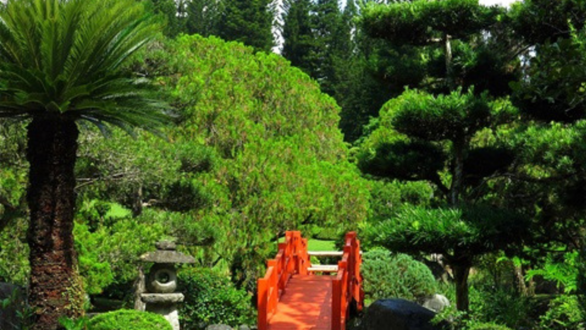 No es un DIOS DE APARIENCIA