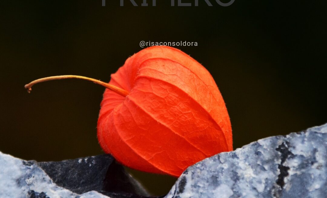 Entre Dios y tu…